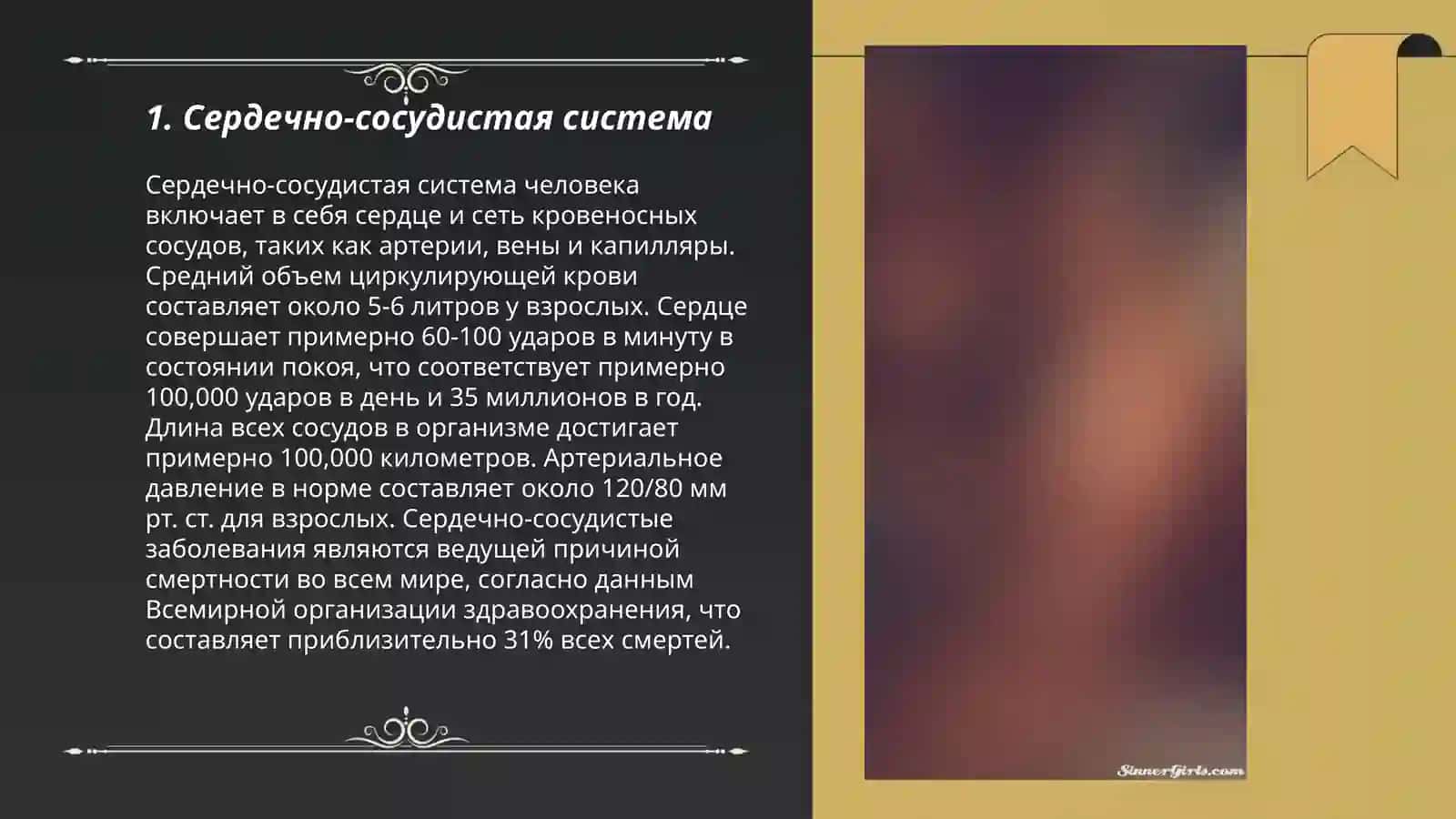 Система органов 3