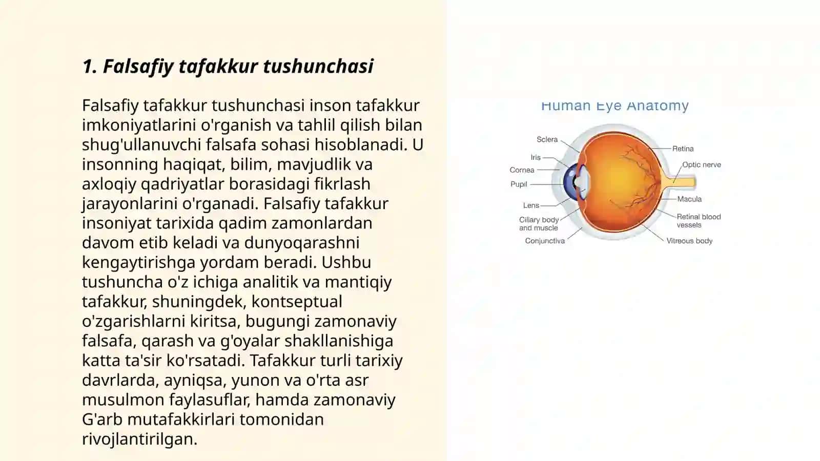 Falsafiy tafakkur taraqqiyoti bosqichlari. Sharq falsafasi 3
