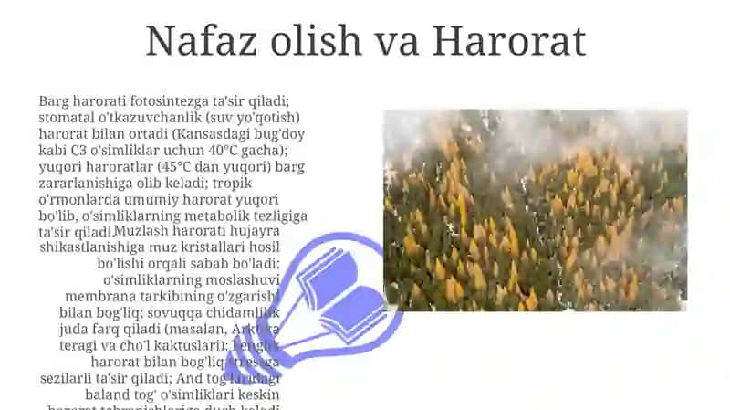 Daraxt va oʻsimliklarni haroratga munosabati 3