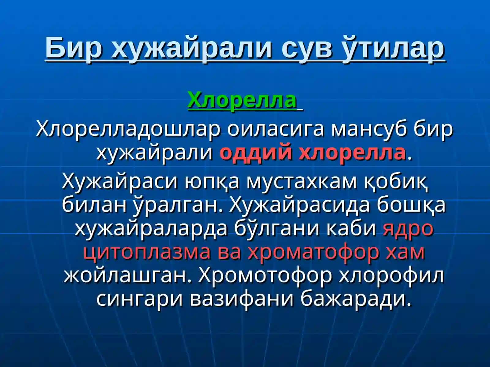 ТУБАН Ўсимликлар 3