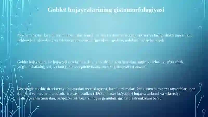 Ekzokrin tizimi gistomorfologiyasi 3