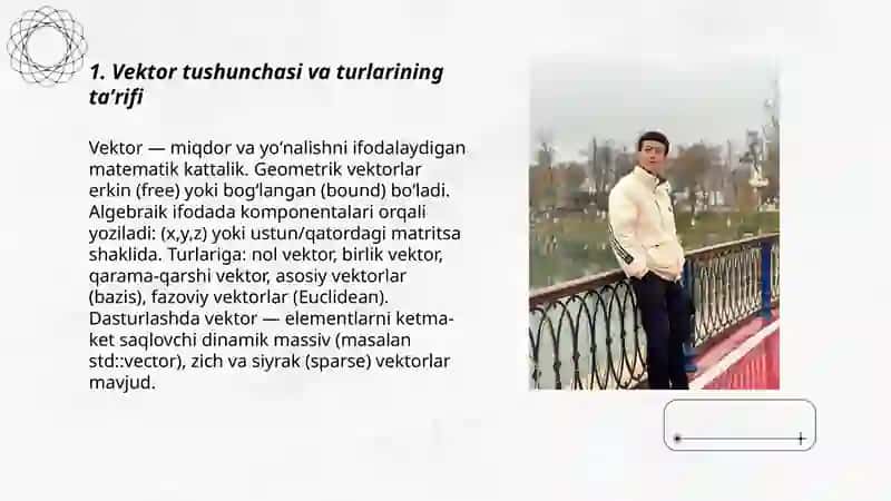Vektorlarni tashkil etish. Dasturlash 3