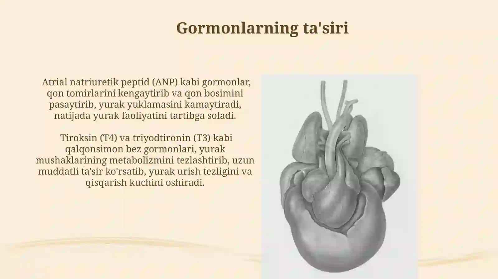 Yurak faoliyatini boshqarilishi 3