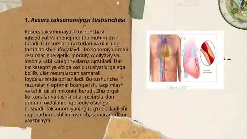 Resurs taksonomiyasi nima va u qanday turlarga boʻlinadi 3