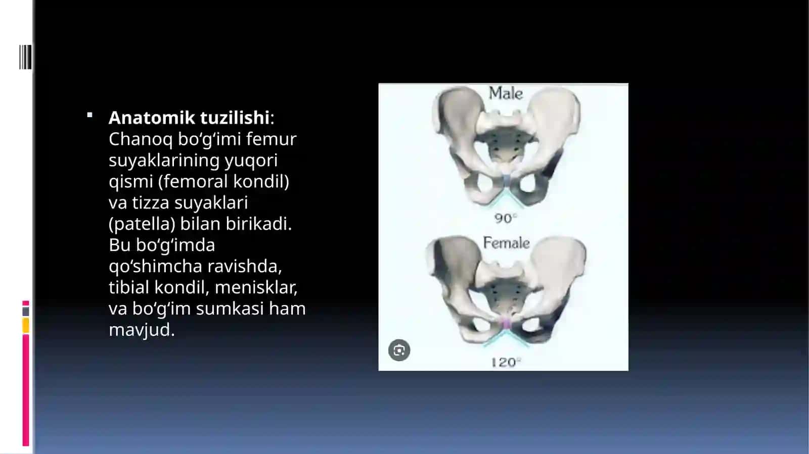 Chanoq suyagining individual xususiyati 3
