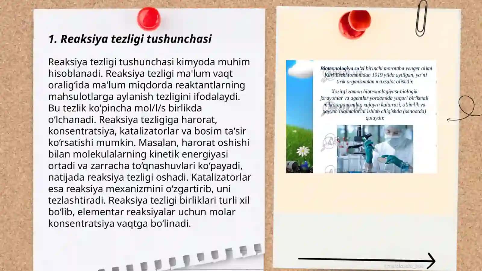 Reaksiya Tezligi Kinetikasi 3