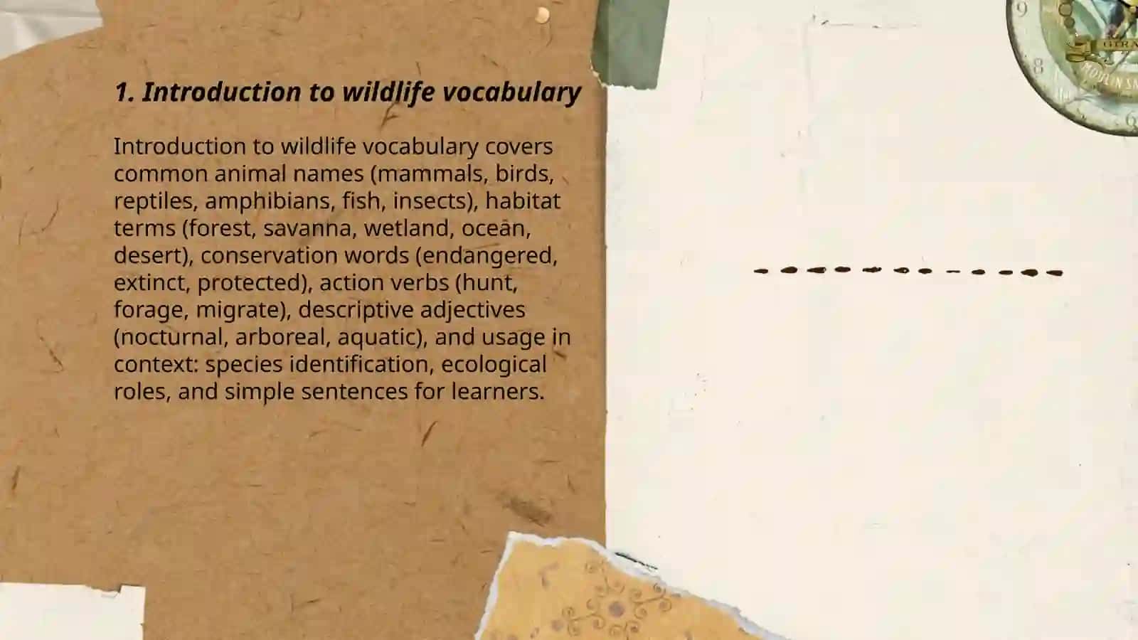 Wild life ingliz tili fanidan 3