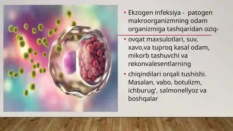 INFEKSIYALAR KO’P QIRRALI SHAKINLANISHINI BELGILAYDIGAN OMILLAR 3