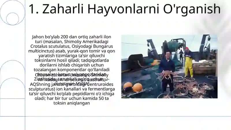 Zaharli Hayvonlarni O'rganish 3