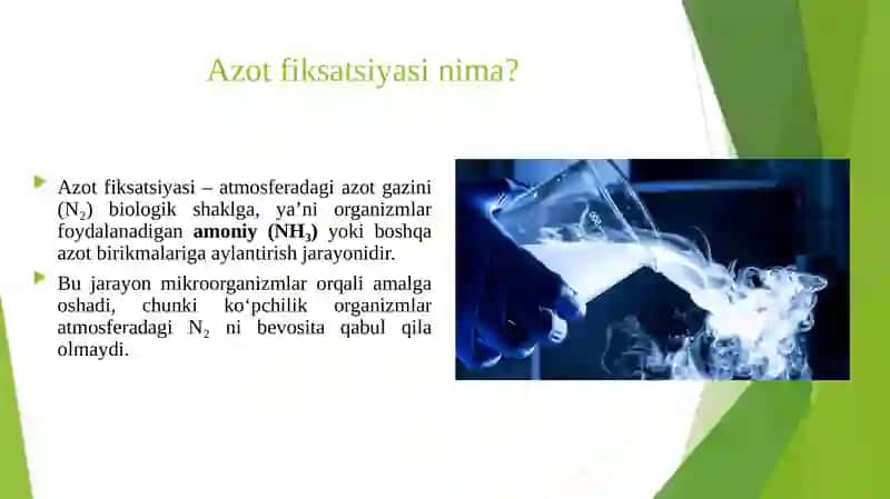AZOTNING ERKIN YASHOVCHI VA SIMBIOTIK MIKROORGANIZMLAR TOMONIDAN FIKSIRLANISHI 3