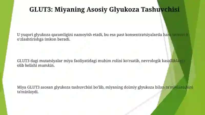 Glyukoza Tashuvchilarining Tuzilishi 3
