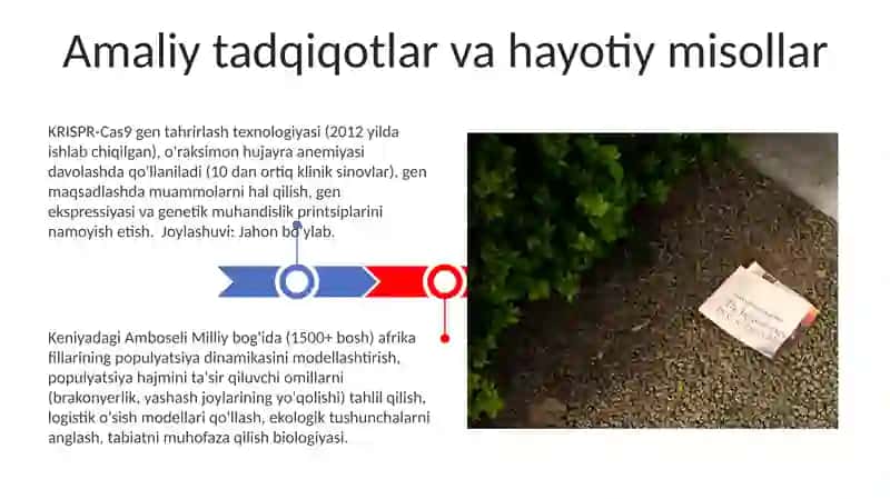 Oʻquvchilarda Biologik Tushunchalarni Shakllantirishda Mantiqiy Muammoli Metodlarni Qoʻllash 3