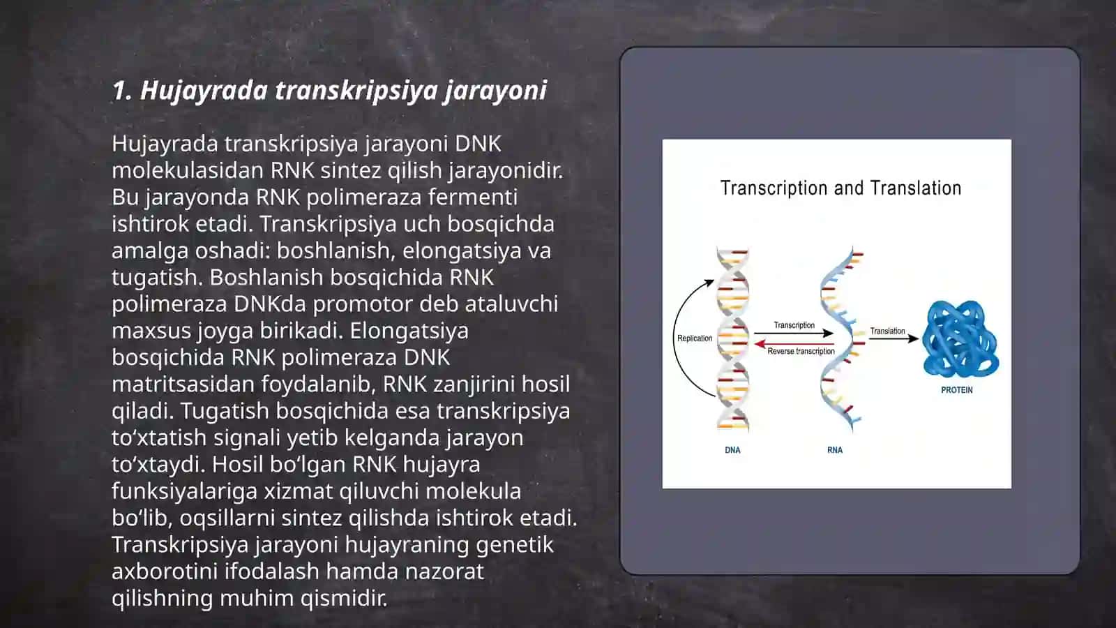 Hujayrada transkripsiya, translayatsiya va replikatsiya jarayonlari 3