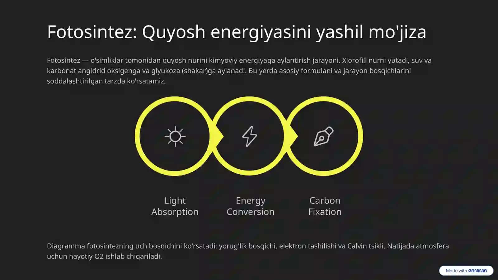 O'simliklar Dunyosi: Hayotning Yashil Negizi 3