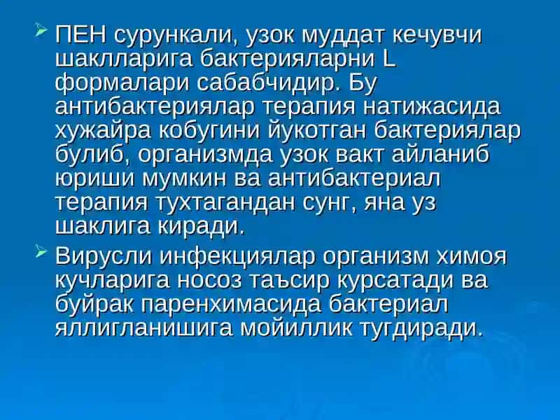 Пиелонефрит 3
