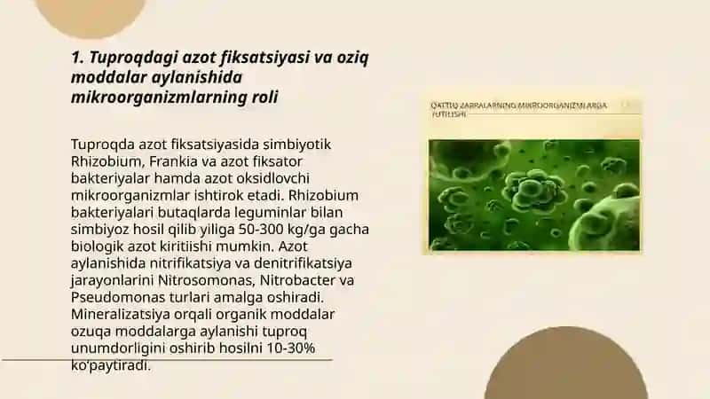 Mikroorganizmlarning xalq xo'jaligidagi ahamiyati 3