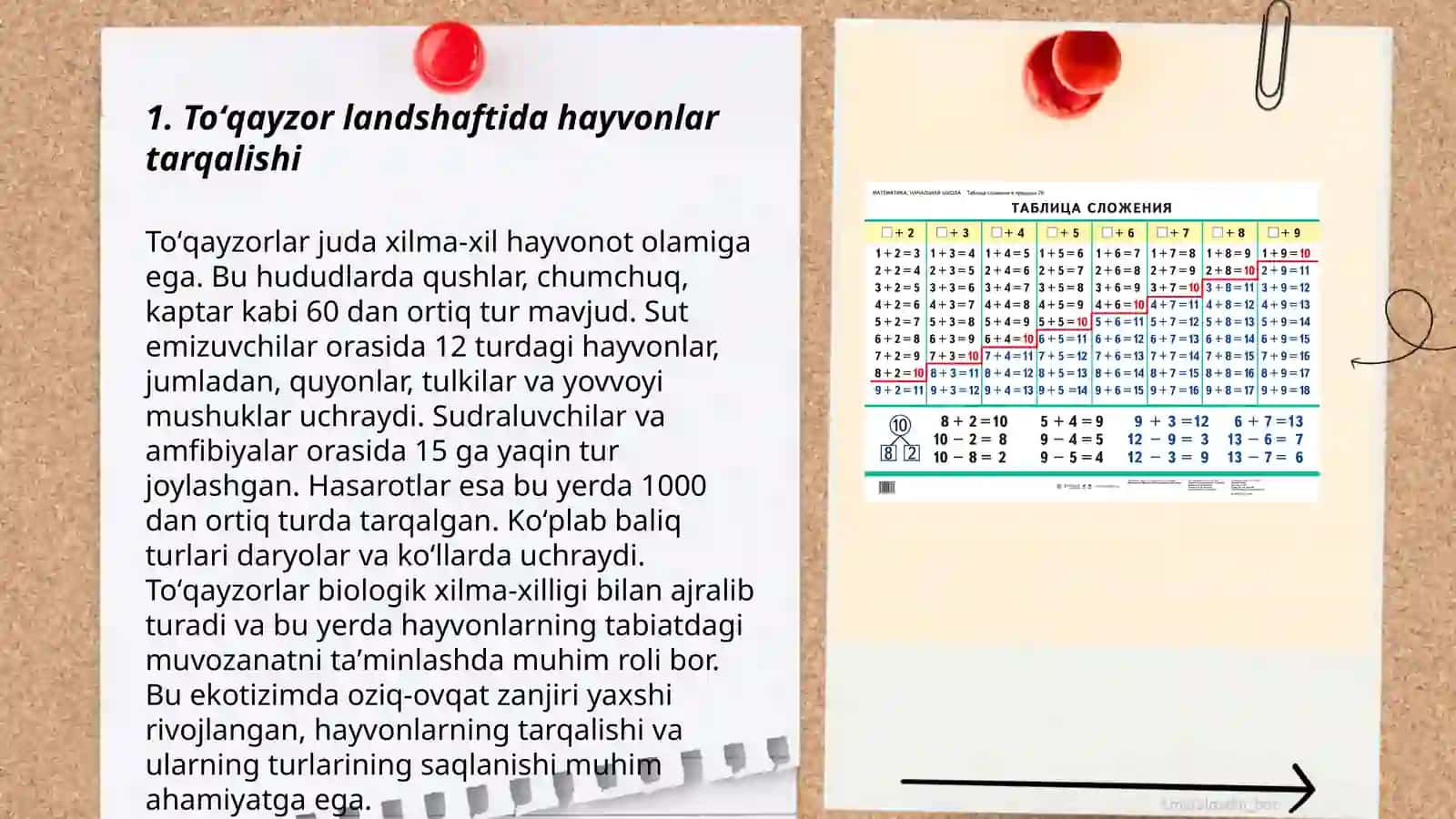 Toʻqayzor landshaftida hayvonlar tarqalishi 3