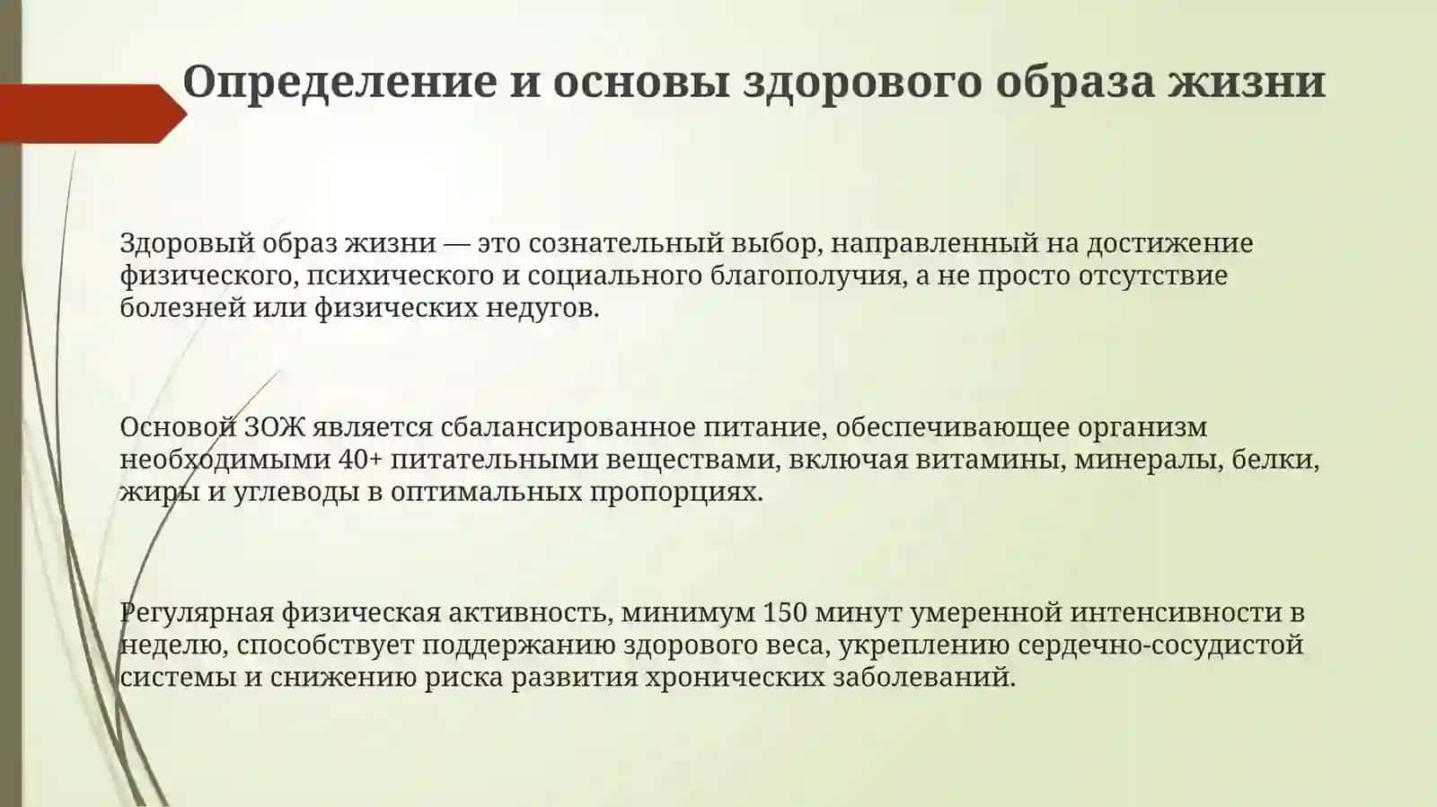 Основы здорового образа жизни 3