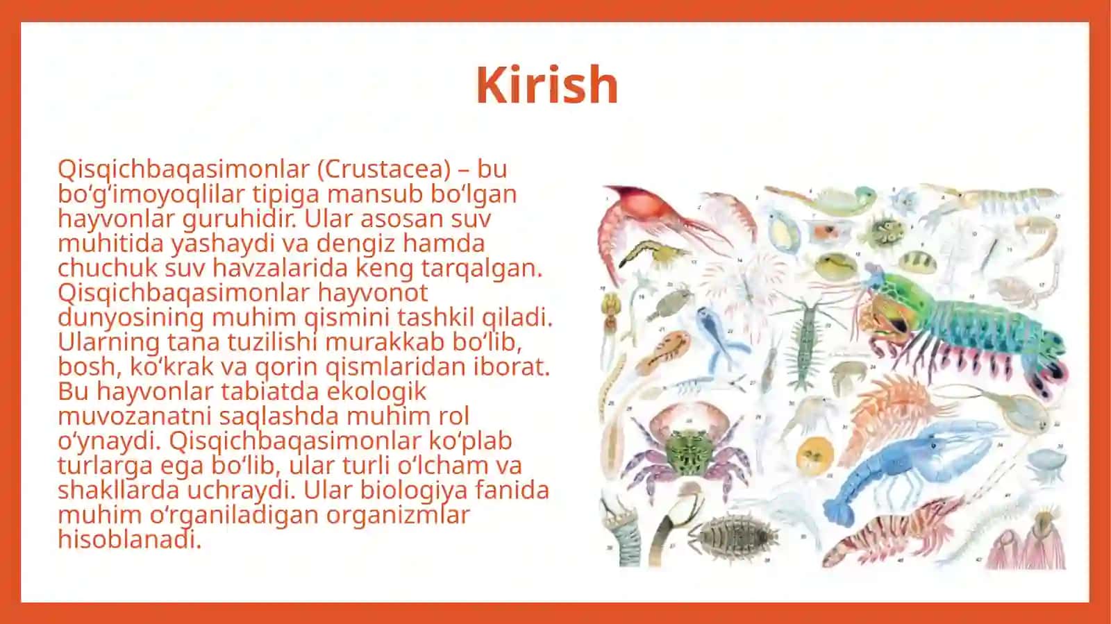 Qisqichbaqasimonlar (Crustacea) ning umumiy ta'rifi 3