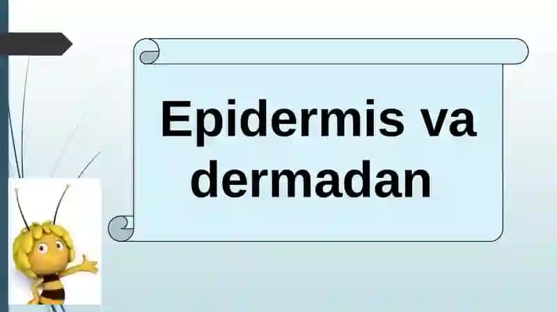 HAYVONLARNING NAFAS OLISH ORGANLARI EVOLUTSIYASI 3