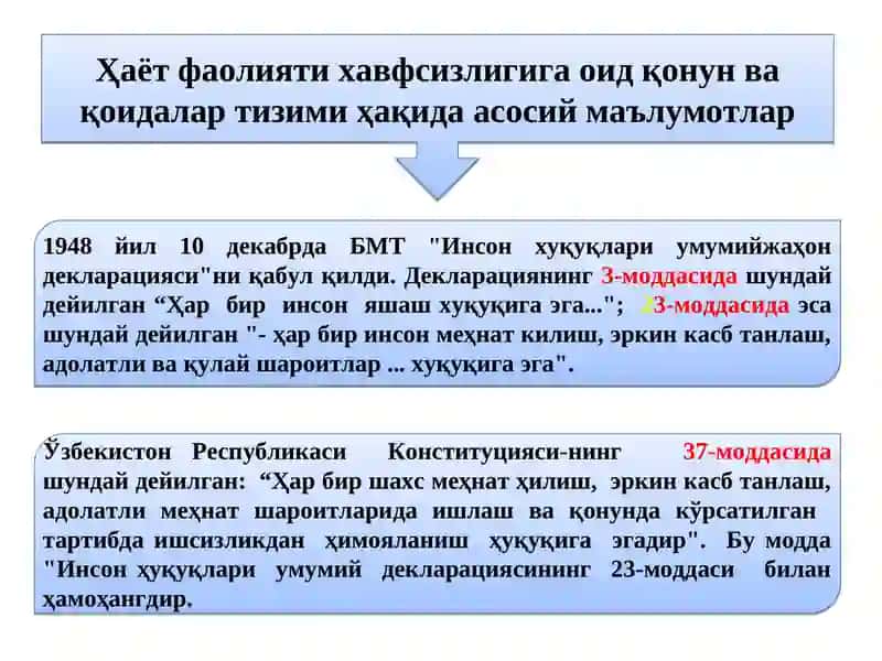 Ҳаёт фаолияти хавфсизлигининг ҳуқуқий асослари 3