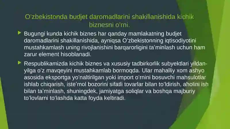 Budjet daromadlari nishaklantirishda kichik biznesning roli 3