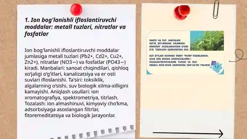 Tuproq va suvning ifloslanishida ion bog'lanishli birikmalarni aniqlash va ularni tozalash 3