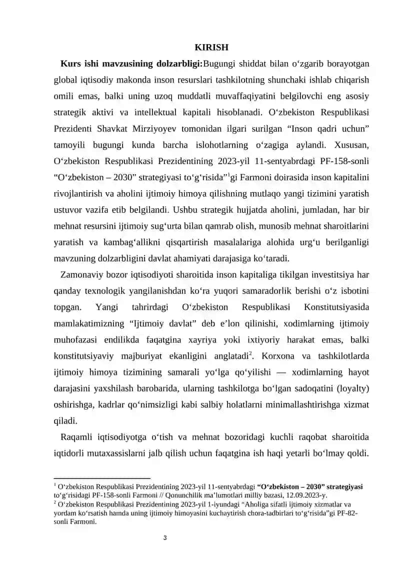 Inson resurslarini ijtimoiy muhofaza qilish kurs ishi 3
