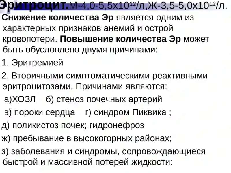 Общий клинический анализ крови 3