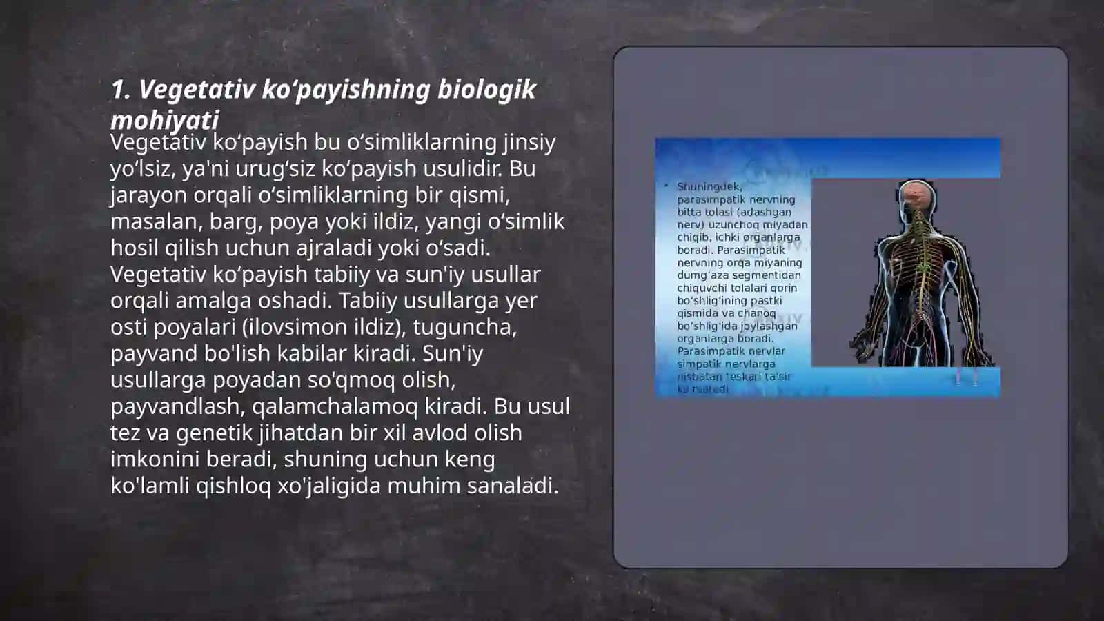 Vegetativ kõpayishning mohiyati va uning ahamiyati 3