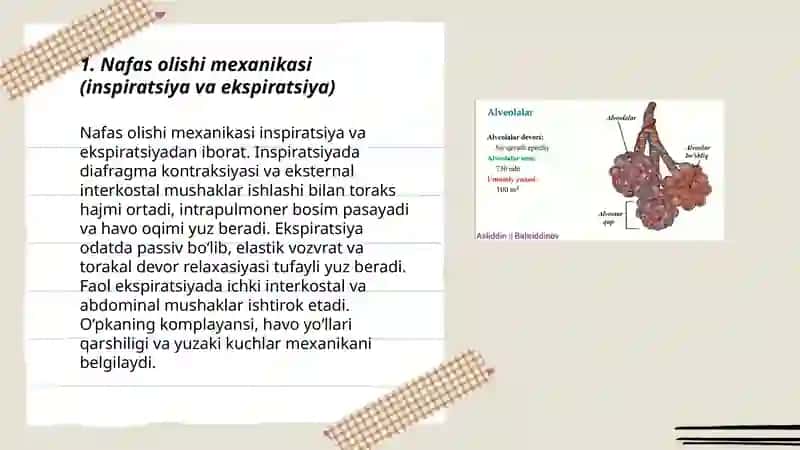 Nafas fiziologiyasi. Qonda gazlarni tashilishi 3