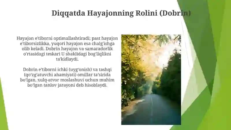 Diqqatning Dobrin ta'rifi 3