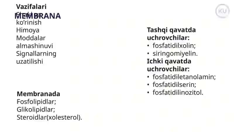 HUJAYRADA MODDALAR VA ENERGIYA OQIMI, INFORMATSIYANING BERILISHI. AKTIV VA PASSIV TRANSPORT. 3