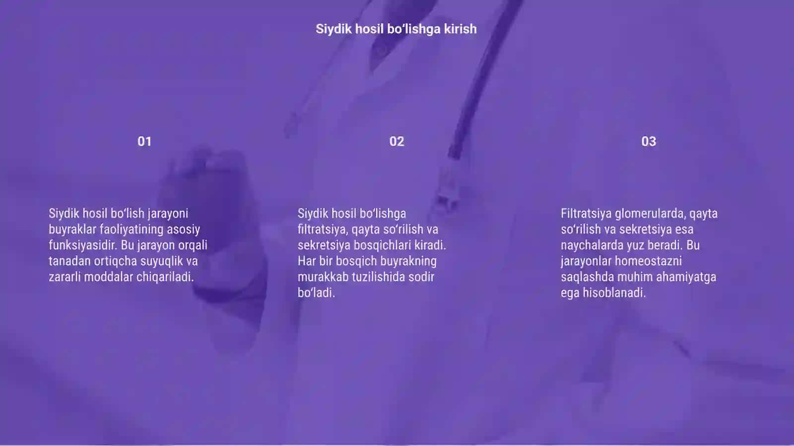 Siydik hosil bo‘lish jarayoni fiziologiyasi 3