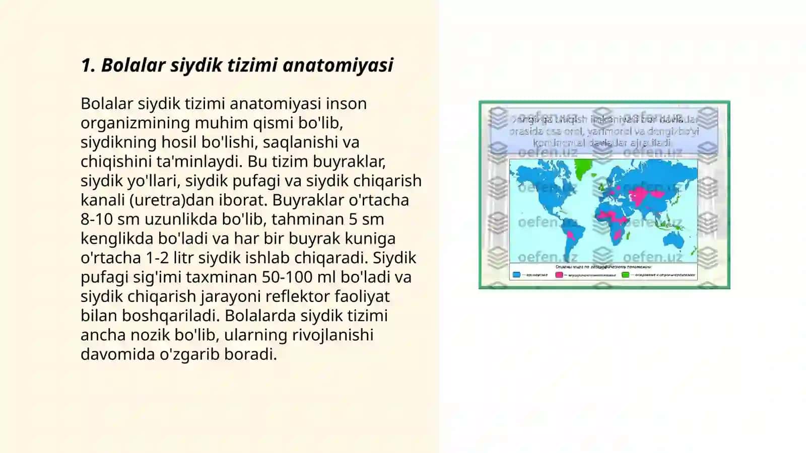 Bolalar siydik hosil qilish va siydik ajratish anatomi fiziologik xususiyatlari va jarohatlanish semiotikasi 3
