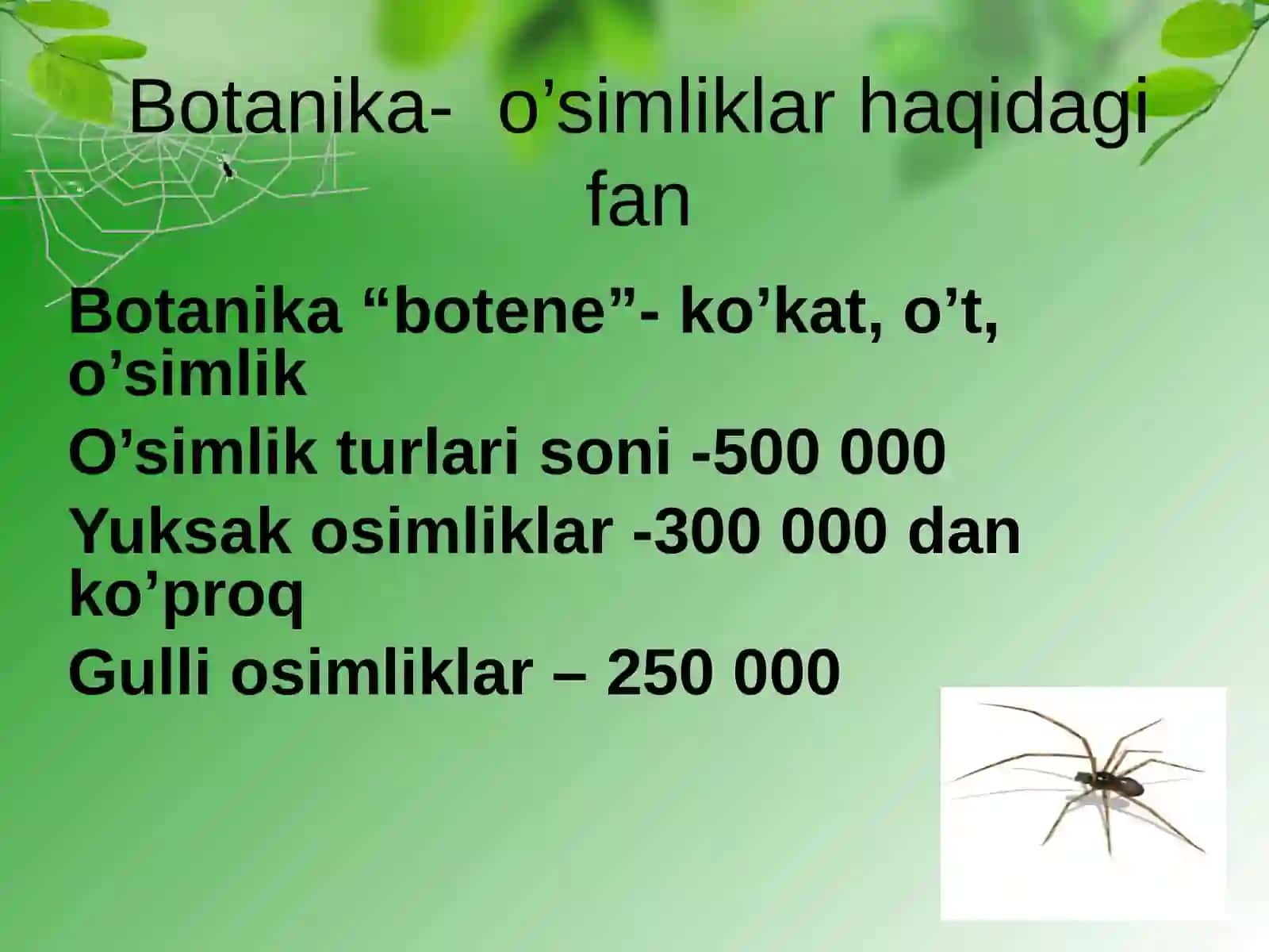 O’simliklar olami. O’simlik to’qimalari va organlari 3
