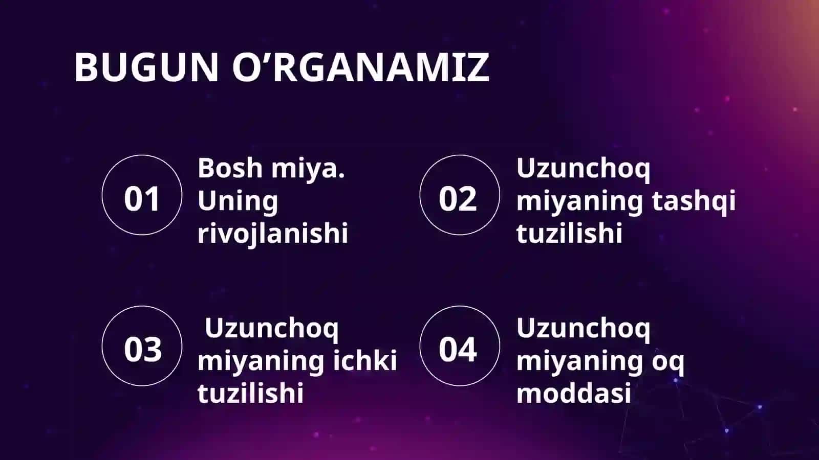 Boshmiyaning rivojlanishi 3