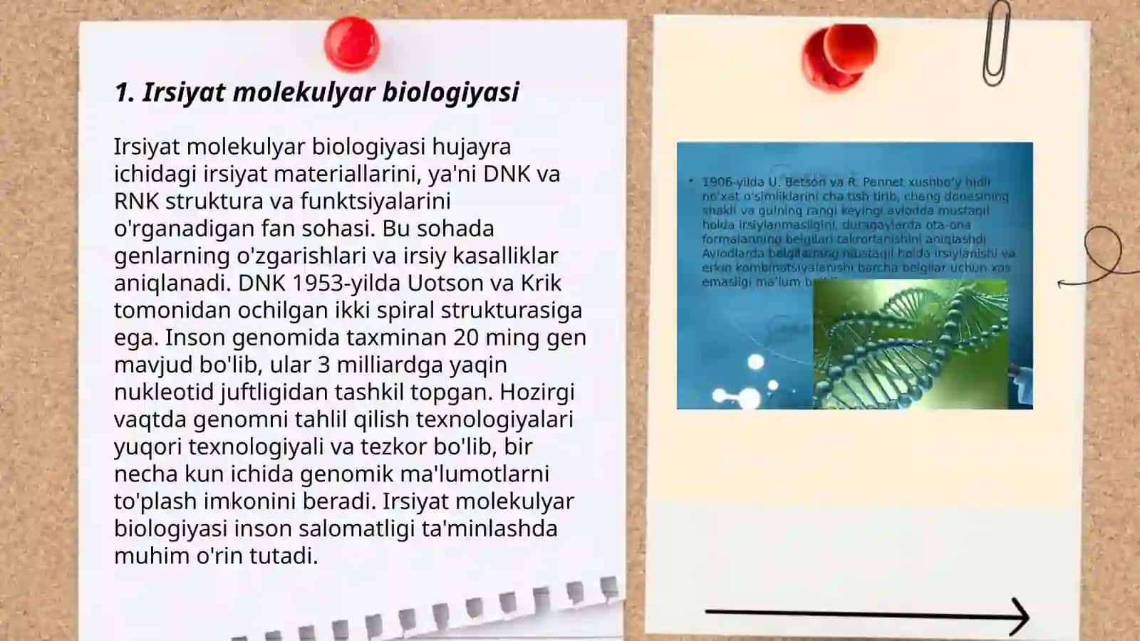 Irsiyatning molekulyar asoslari 3