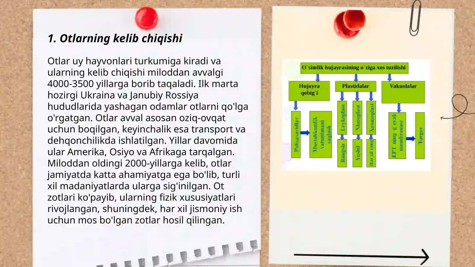 Otlarning yasalishi, tuzilishi jihatdan turlari 3