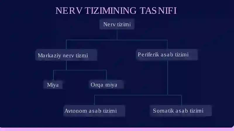 Tayyor ilmiy slayd 3