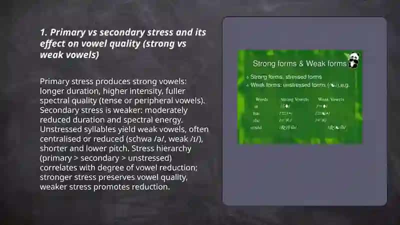 Stress.Strong and weak vowels 3