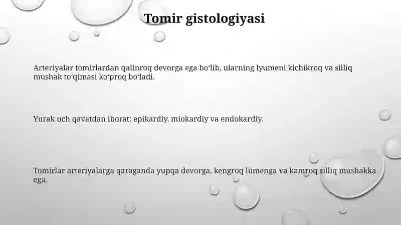 Qon,yurak, arteriyalar tomirlar va kapillyarlar gistomorfologiyasi 3
