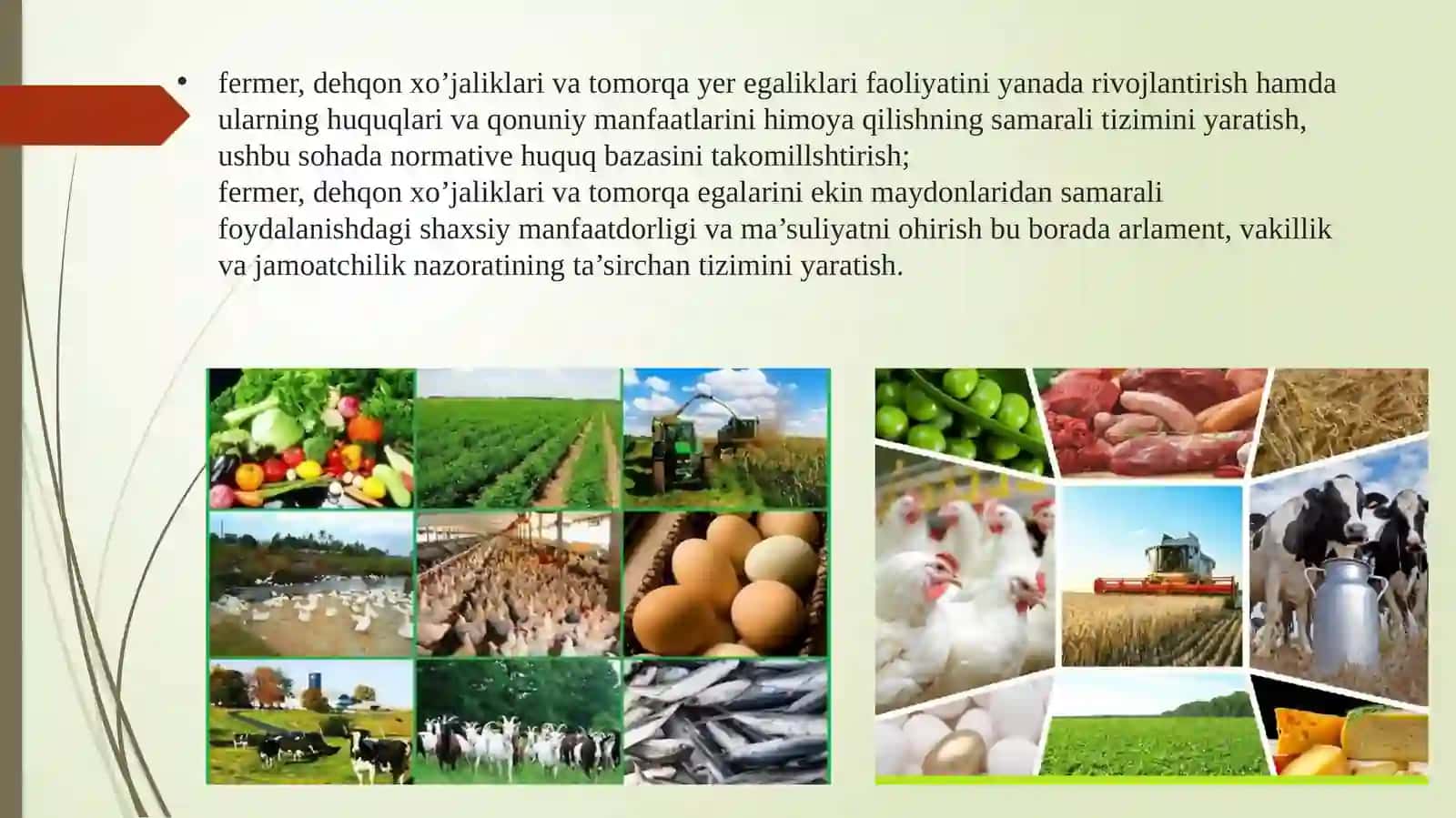 O’ZBEKISTONDAGI FERMER VA DEHQON XO’JALIKLARINI RIVOJLANTIRISH VAZIFALRI VA ISTIQBOLLARI 3