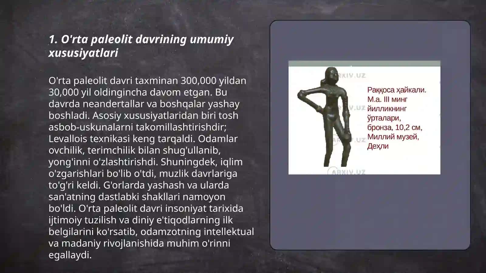 Oʻrta paleolit davri arxeologiyasi 3