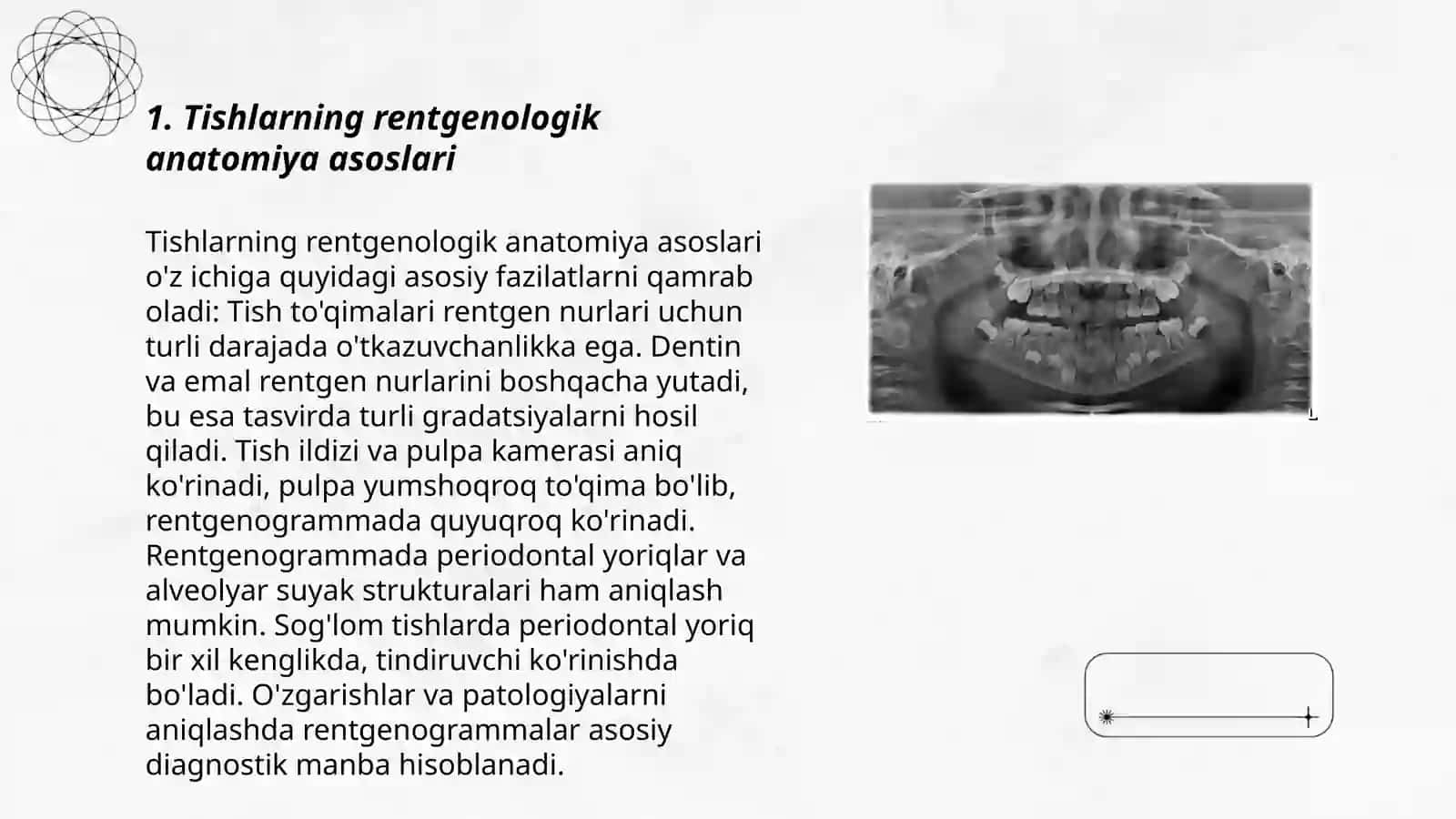 Tishlarning rentgen anatomiyasi 3