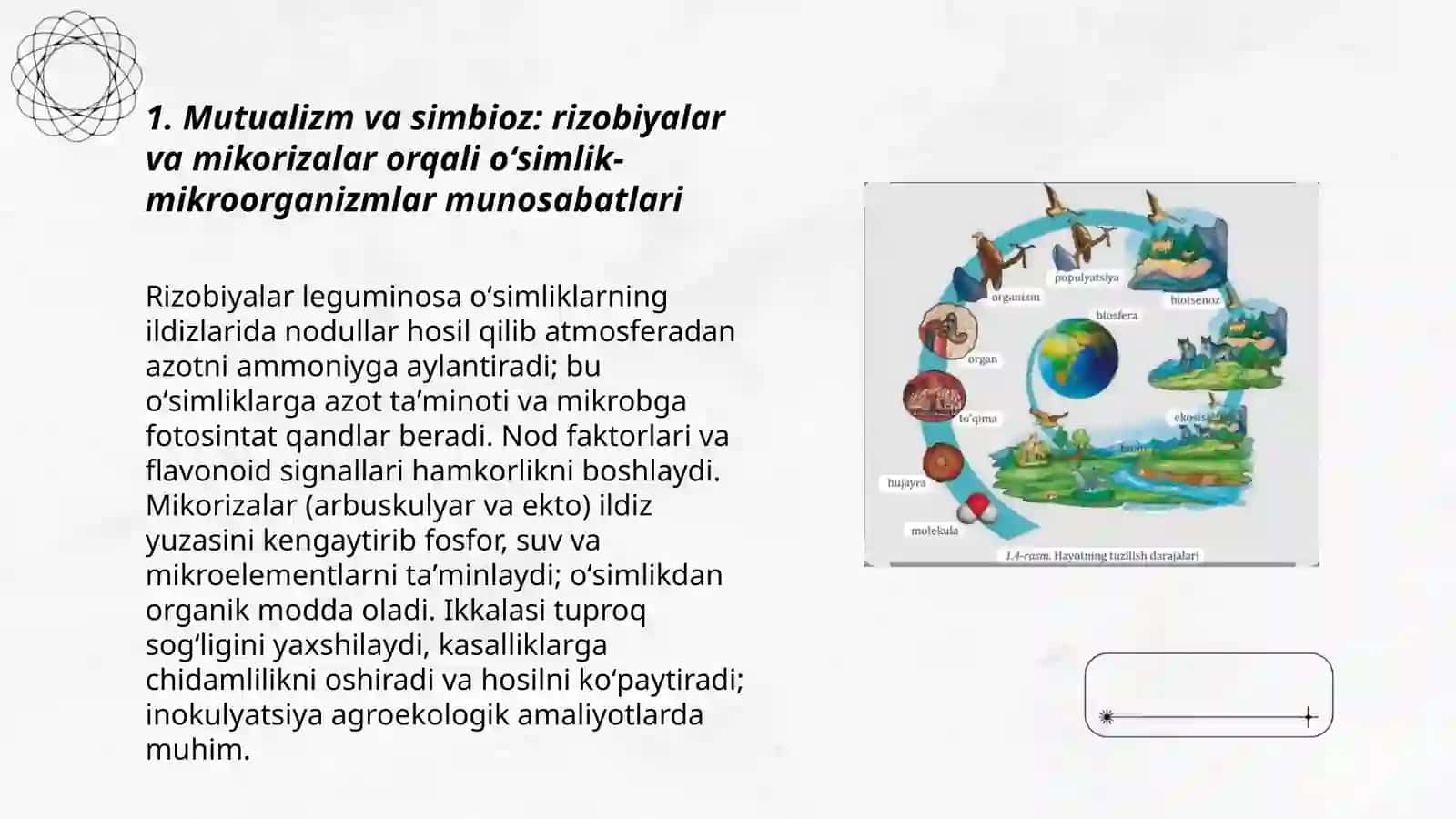 Mikroorganizmlarning oʻzaro va boshqa organizmlar bilan munosabati 3