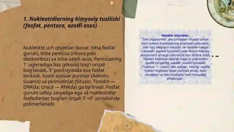 Nuklein kislotalarning tuzulishi va ahamiyati 3