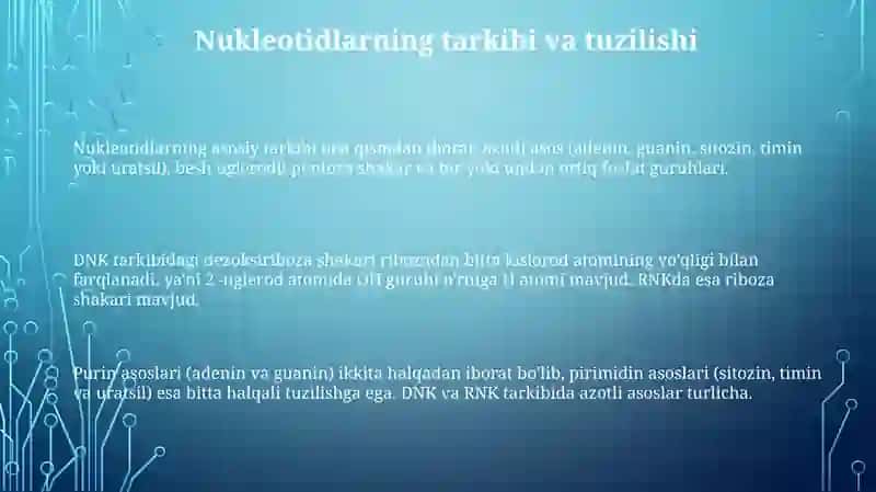 Nukleotidlarning tuzilishi va funksiyasi 3
