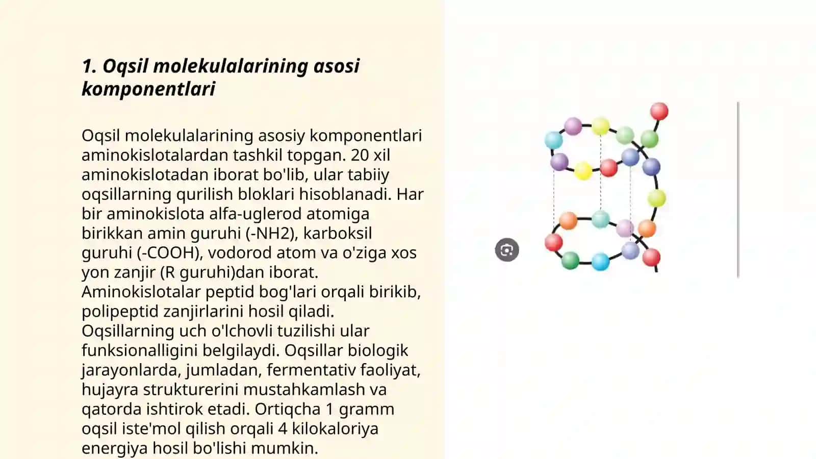 Oqsillar tarkibi va tuzilishi 3
