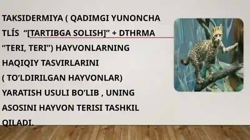 Sut emizuvchilar sinfining turli vakillaridan chuchela tayyorlash 3